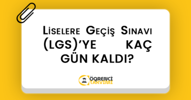 Liselere Geçiş Sınavı (LGS) KAÇ GÜN KALDI?